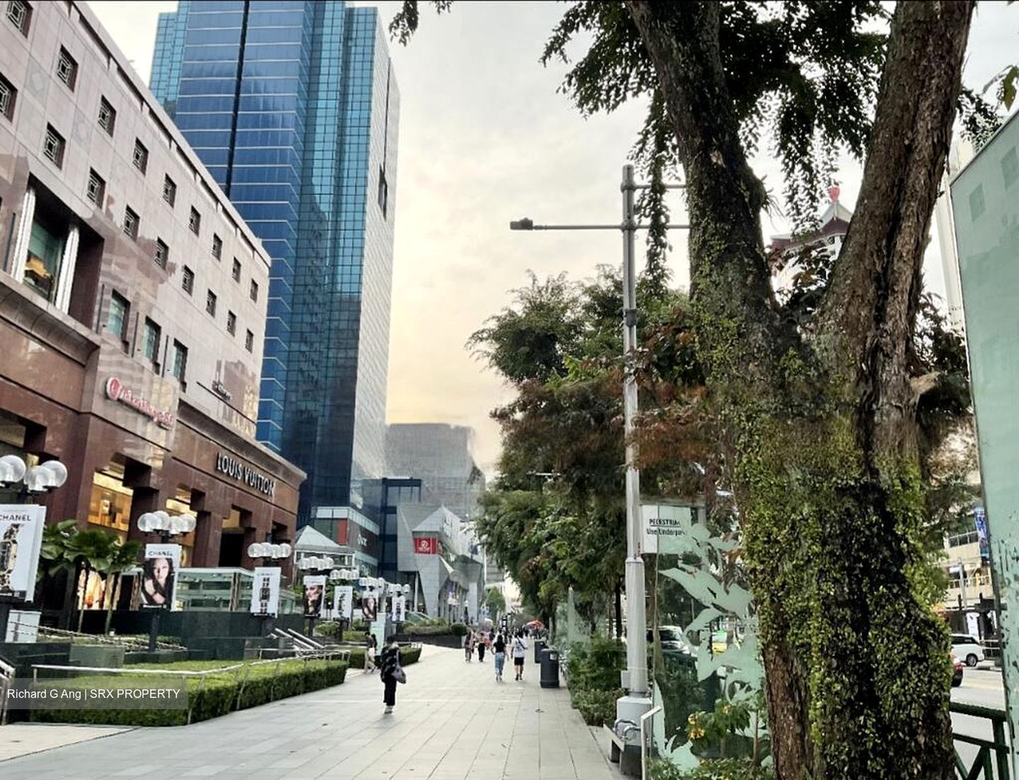 Zion Road (D3), Condominium #482240371